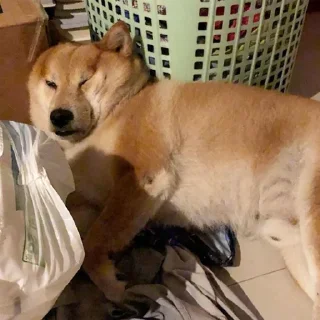 🙃