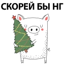 🐷