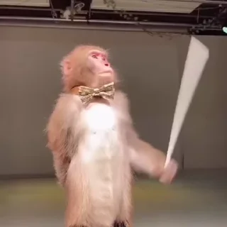 🥷