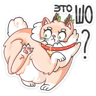 ❓