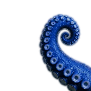 🦑