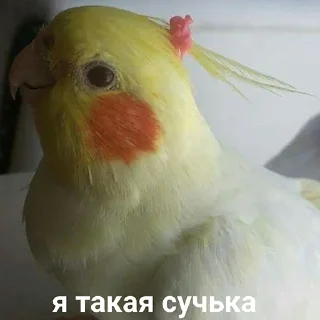 😘