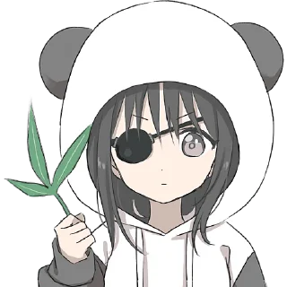 🐼