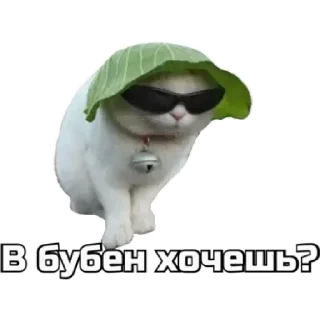 😎