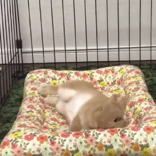 😵