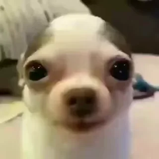 😊