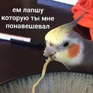 🍝