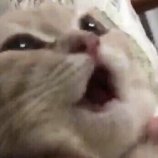 😲