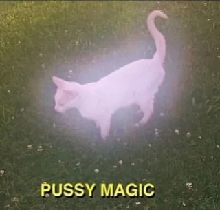 🐱