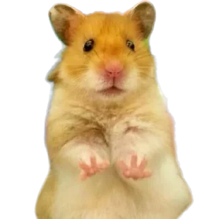 🤗