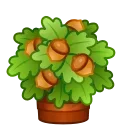💐