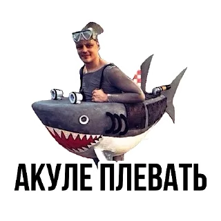 🦈