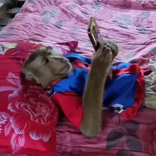 🤩