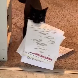 🏫