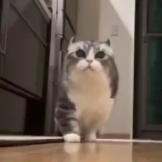 🥰