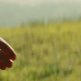 🤝
