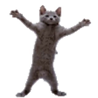🕺