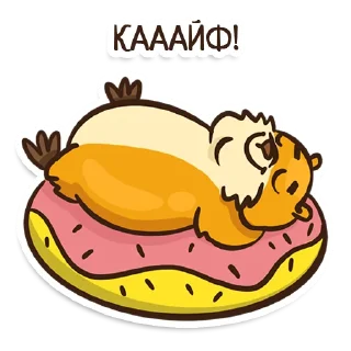 🍩