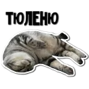 😴