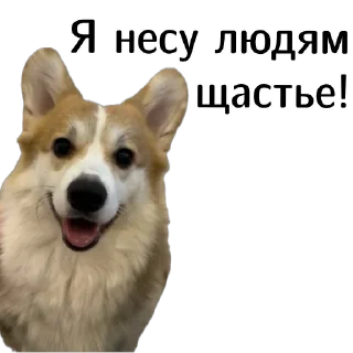 😊