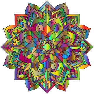 🎨