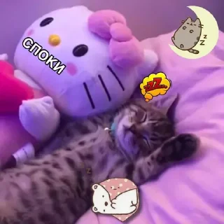 😴