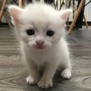 😑