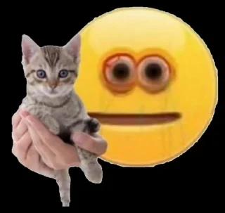 🐈