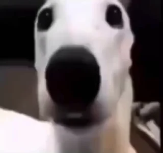 😨