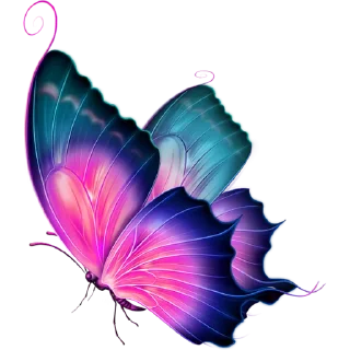 🦋
