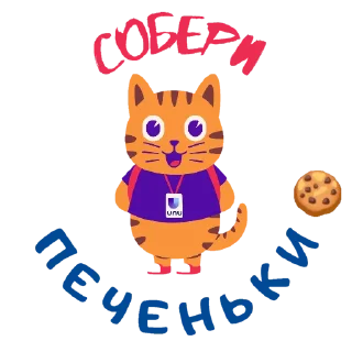 🍪