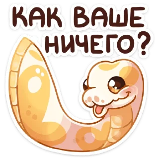 ❓