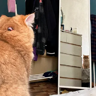 😑