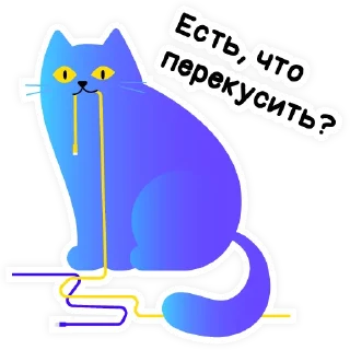 😼