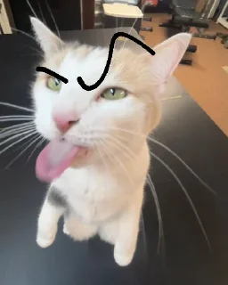 🤨