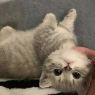 😇