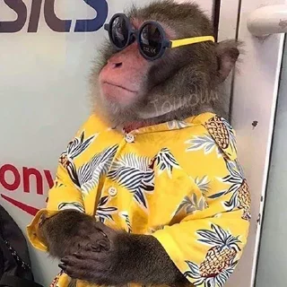 😏