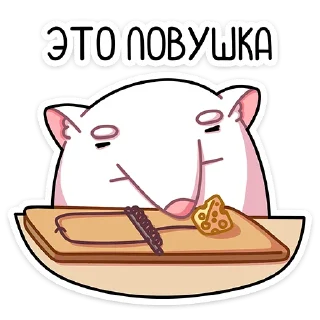 🧀