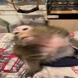 ⁉️