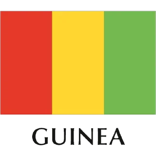 🇬🇳