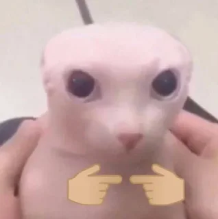 🥰