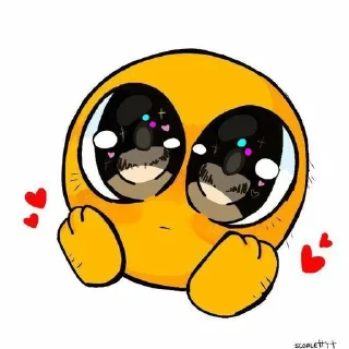 ✨