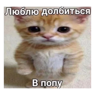 🤪