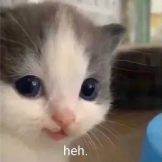 😊