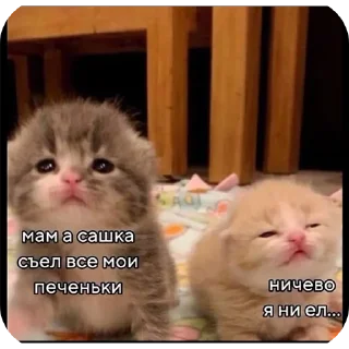 👍