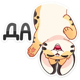 👍