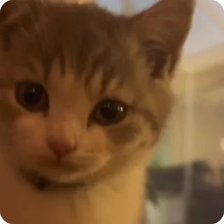 😒