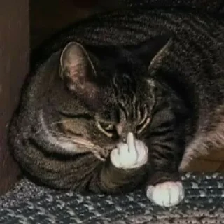 🖕