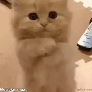 🙏