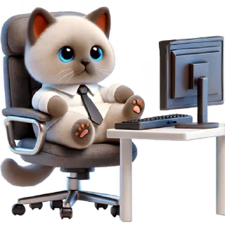 💻